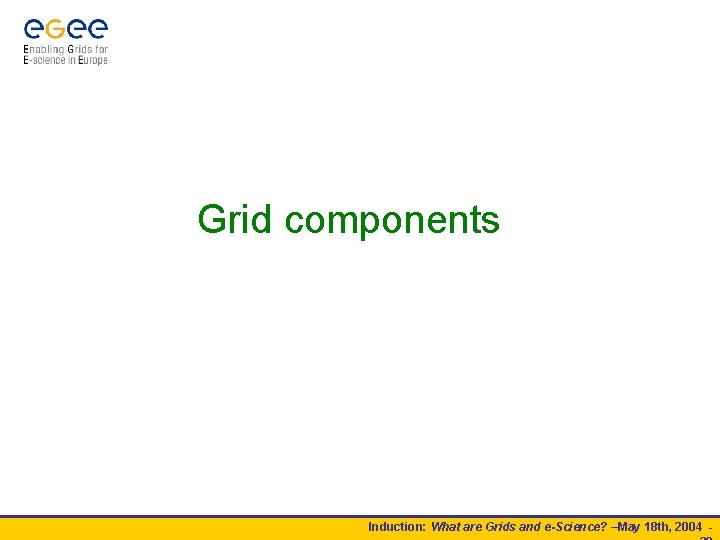 Grid components Induction: What are Grids and e-Science? –May 18 th, 2004 - 
