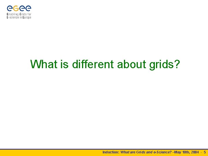 What is different about grids? Induction: What are Grids and e-Science? –May 18 th,