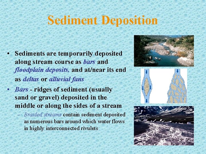 Sediment Deposition • Sediments are temporarily deposited along stream course as bars and floodplain