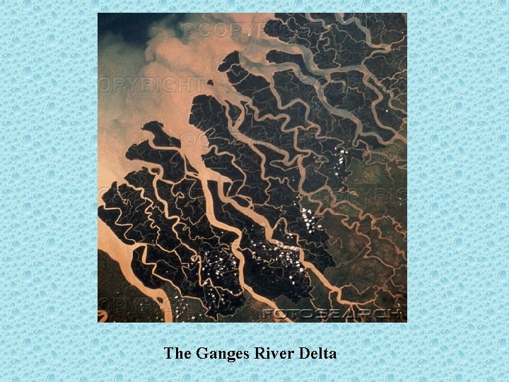The Ganges River Delta 