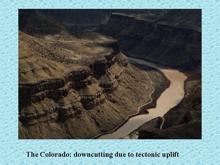 The Colorado: downcutting due to tectonic uplift 