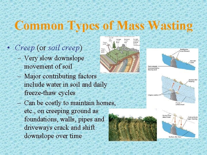 Common Types of Mass Wasting • Creep (or soil creep) – Very slow downslope