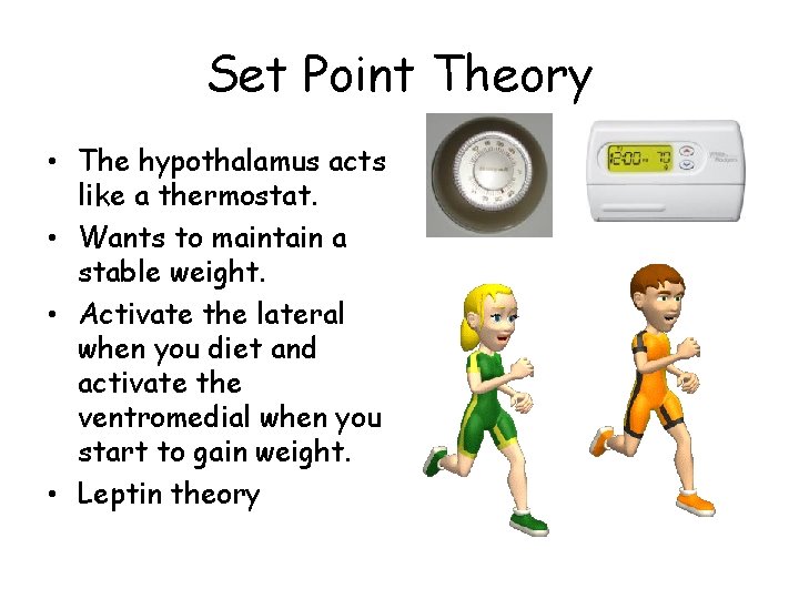 Set Point Theory • The hypothalamus acts like a thermostat. • Wants to maintain