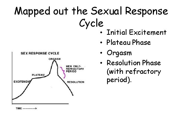 Mapped out the Sexual Response Cycle • • Initial Excitement Plateau Phase Orgasm Resolution