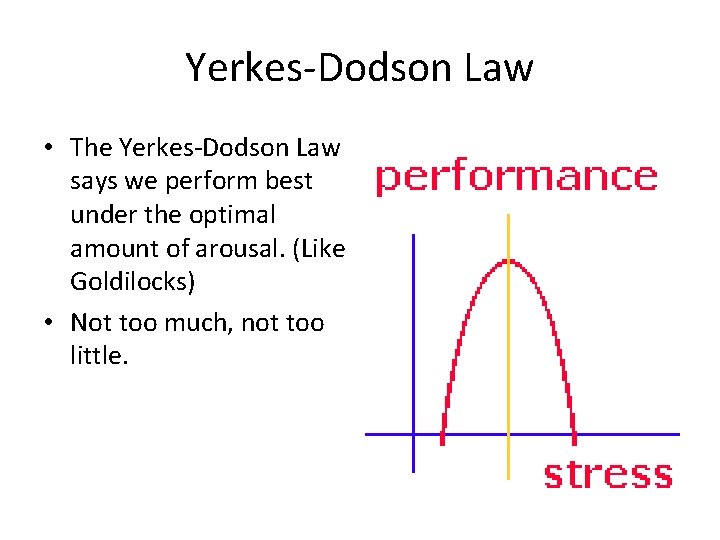 Yerkes-Dodson Law • The Yerkes-Dodson Law says we perform best under the optimal amount