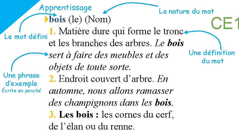 Apprentissage La nature du mot bois (le) (Nom) 1. Matière dure qui forme le