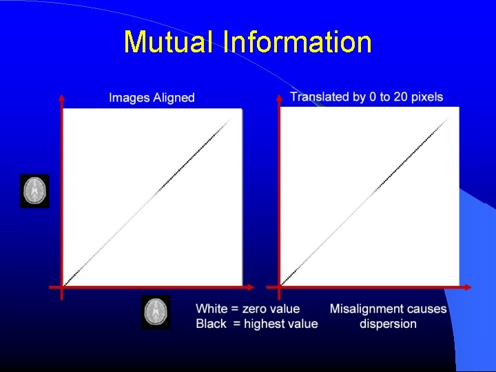 Mutual Information Mutual Information