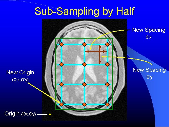 Sub-Sampling by Half New Spacing S’x New Origin (O’x, O’y) Origin (Ox, Oy) New Sub-Sampling by Half New Spacing S’x New Origin (O’x, O’y) Origin (Ox, Oy) New