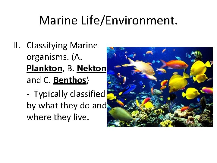 Marine Life/Environment. II. Classifying Marine organisms. (A. Plankton, B. Nekton, and C. Benthos) -