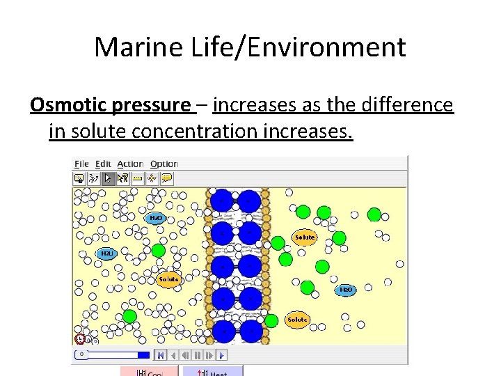 Marine Life/Environment Osmotic pressure – increases as the difference in solute concentration increases. 