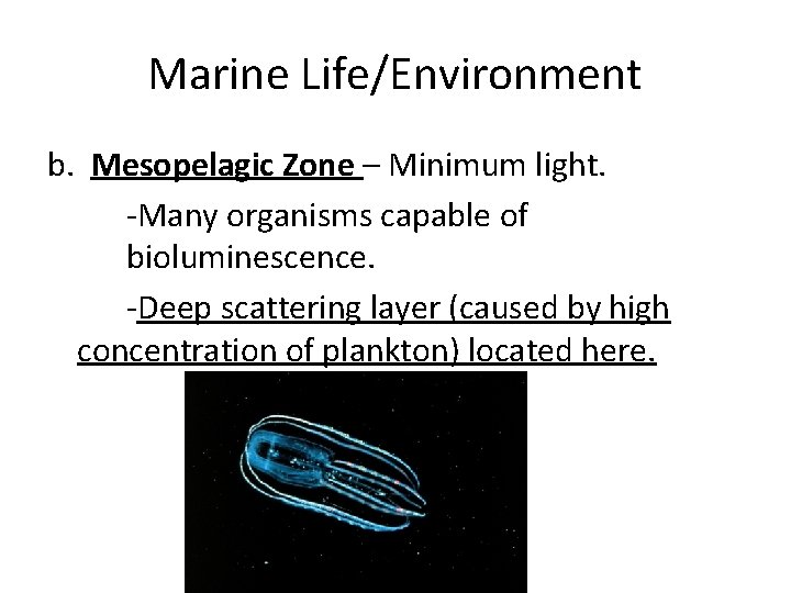 Marine Life/Environment b. Mesopelagic Zone – Minimum light. -Many organisms capable of bioluminescence. -Deep