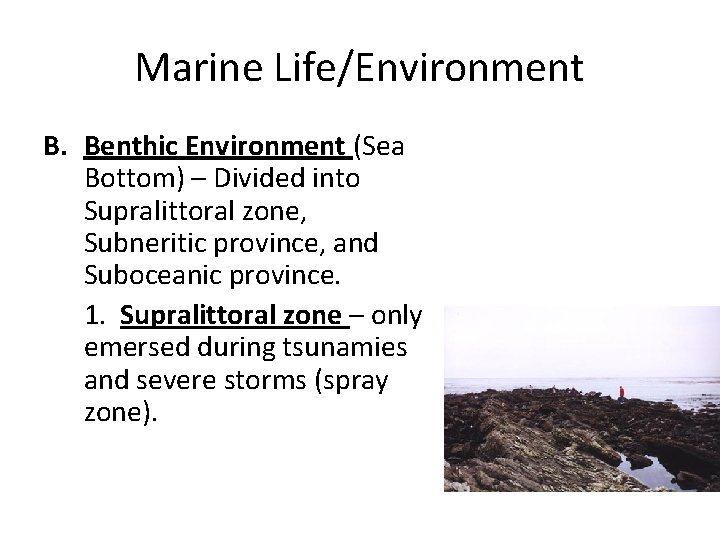 Marine Life/Environment B. Benthic Environment (Sea Bottom) – Divided into Supralittoral zone, Subneritic province,