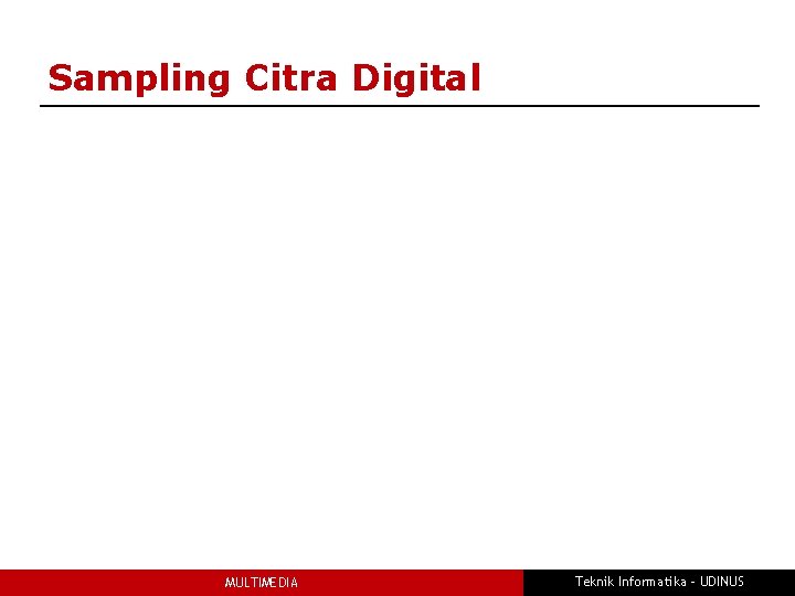 Sampling Citra Digital MULTIMEDIA Teknik Informatika - UDINUS 