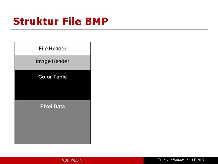 Struktur File BMP MULTIMEDIA Teknik Informatika - UDINUS 
