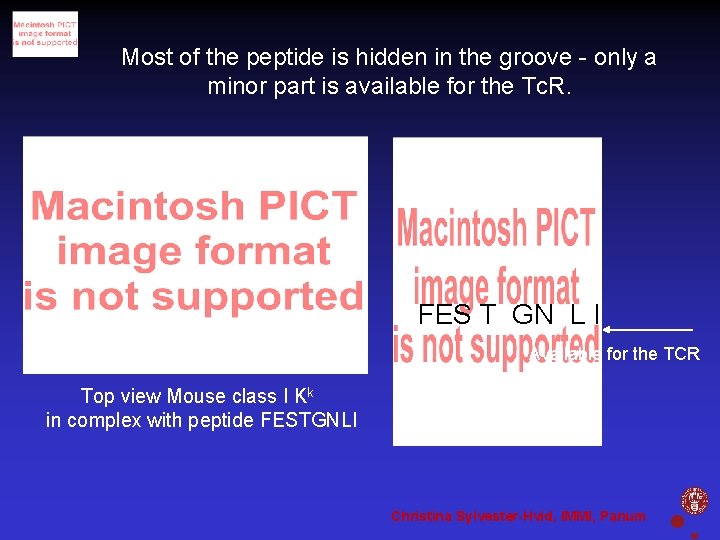 Most of the peptide is hidden in the groove - only a minor part