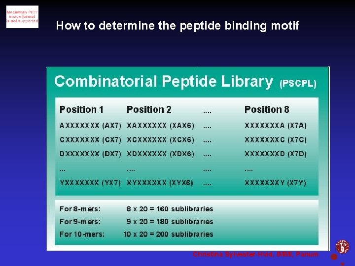 How to determine the peptide binding motif Christina Sylvester-Hvid, IMMI, Panum 