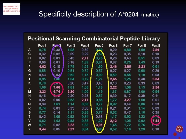 Specificity description of A*0204 (matrix) Christina Sylvester-Hvid, IMMI, Panum 