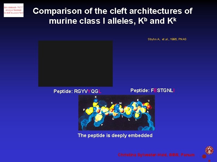 Comparison of the cleft architectures of murine class I alleles, Kb and Kk Stryhn