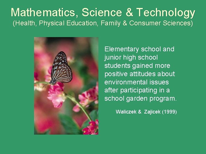 Mathematics, Science & Technology (Health, Physical Education, Family & Consumer Sciences) Elementary school and