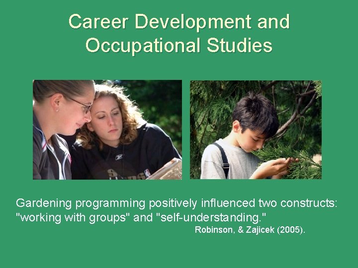 Career Development and Occupational Studies Gardening programming positively influenced two constructs: "working with groups"