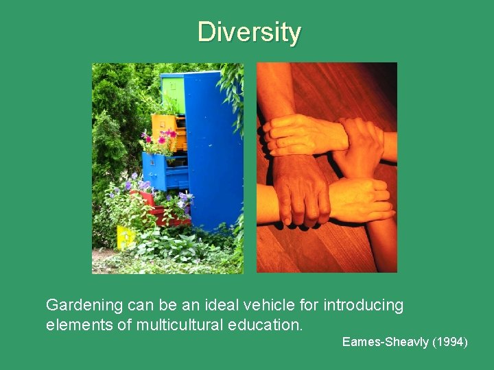 Diversity Gardening can be an ideal vehicle for introducing elements of multicultural education. Eames-Sheavly