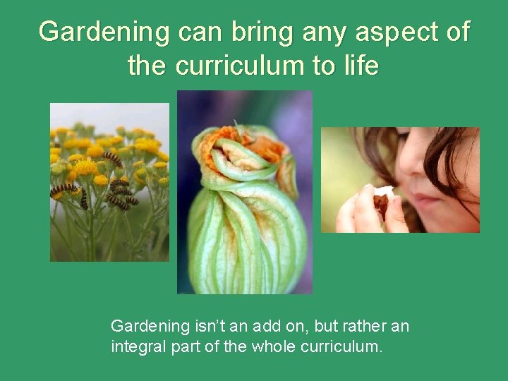 Gardening can bring any aspect of the curriculum to life Gardening isn’t an add