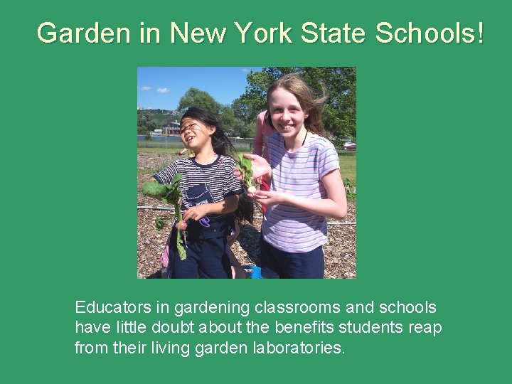 Garden in New York State Schools! Educators in gardening classrooms and schools have little