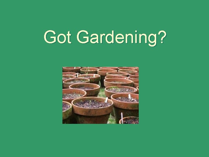 Got Gardening? 