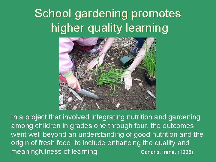 School gardening promotes higher quality learning In a project that involved integrating nutrition and