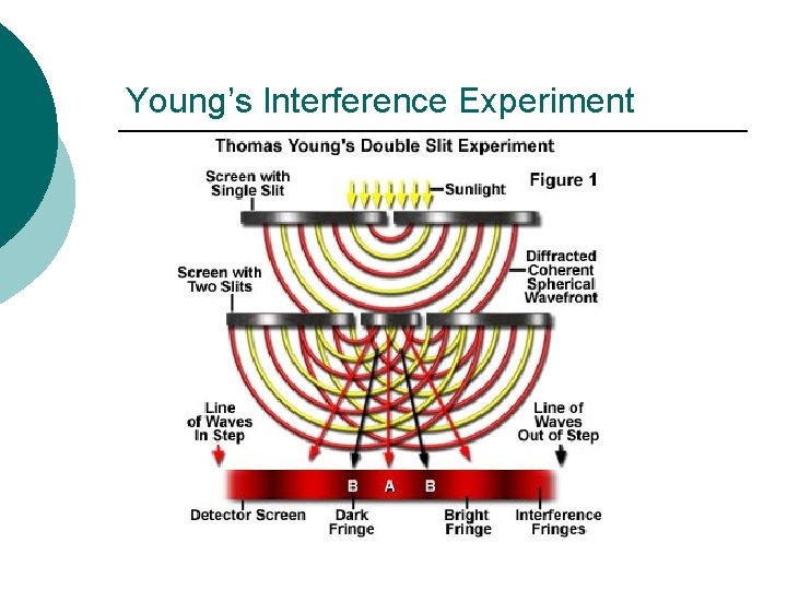 Young’s Interference Experiment 