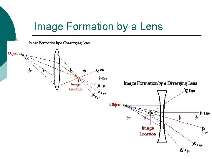 Image Formation by a Lens 