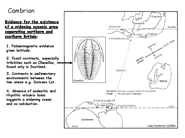 Cambrian Evidence for the existence of a widening oceanic area separating northern and southern