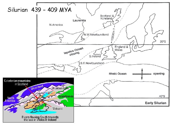 Silurian 439 – 409 MYA 