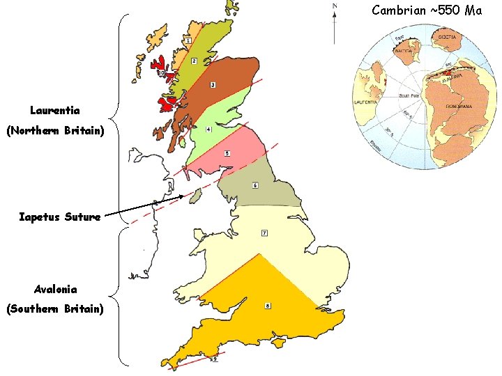 Cambrian ~550 Ma Laurentia (Northern Britain) Iapetus Suture Avalonia (Southern Britain) 