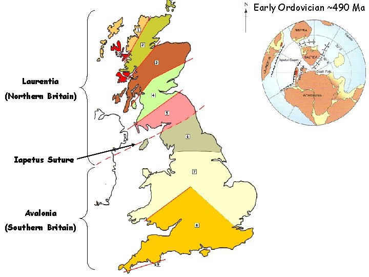 Early Ordovician ~490 Ma Laurentia (Northern Britain) Iapetus Suture Avalonia (Southern Britain) 