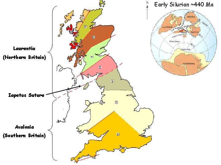 Early Silurian ~440 Ma Laurentia (Northern Britain) Iapetus Suture Avalonia (Southern Britain) 