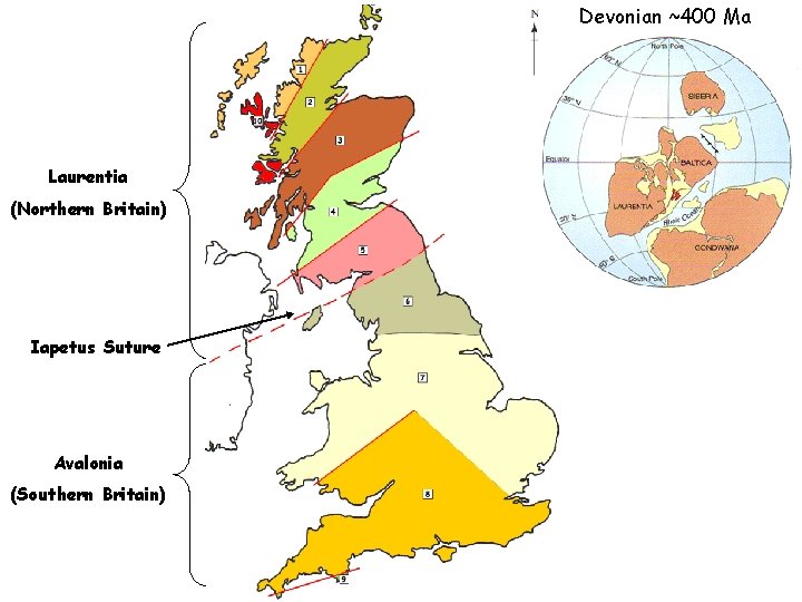 Devonian ~400 Ma Laurentia (Northern Britain) Iapetus Suture Avalonia (Southern Britain) 