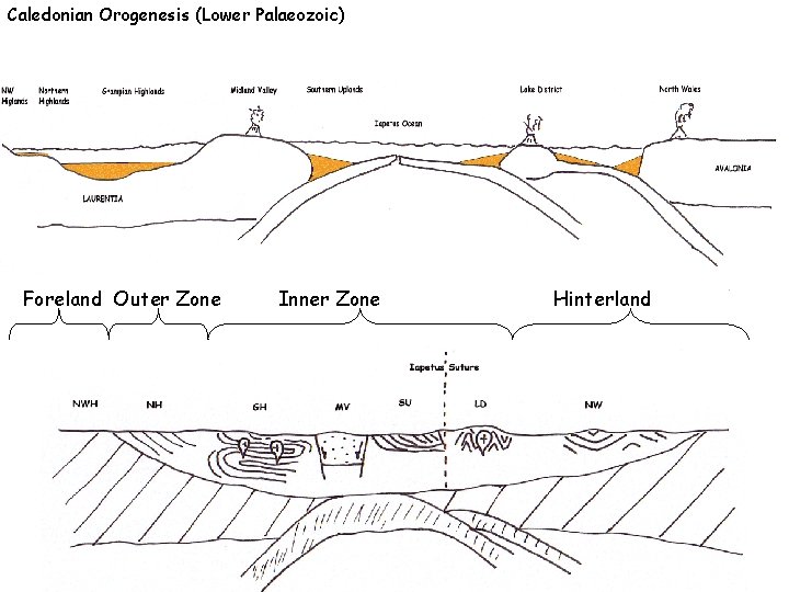 Caledonian Orogenesis (Lower Palaeozoic) Foreland Outer Zone Inner Zone Hinterland 