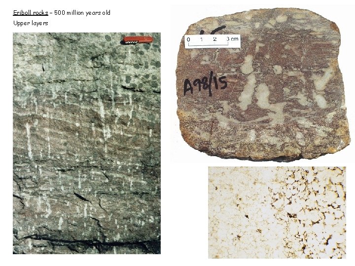 Eriboll rocks – 500 million years old Upper layers 