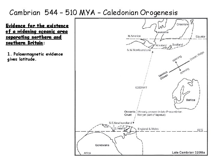 Cambrian 544 – 510 MYA – Caledonian Orogenesis Evidence for the existence of a
