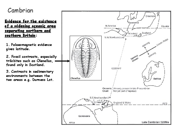 Cambrian Evidence for the existence of a widening oceanic area separating northern and southern