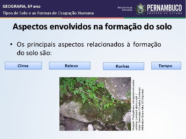  GEOGRAFIA, 6º ano Tipos de Solo e as Formas de Ocupação Humana Aspectos