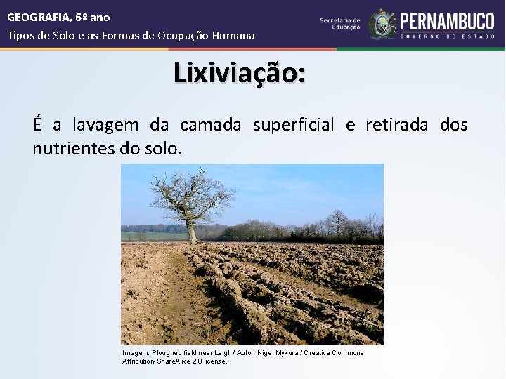  GEOGRAFIA, 6º ano Tipos de Solo e as Formas de Ocupação Humana Lixiviação: