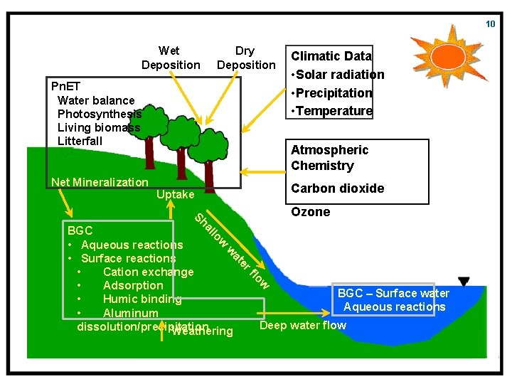 10 10 Approach Wet Deposition Dry Deposition Pn. ET Water balance Photosynthesis Living biomass