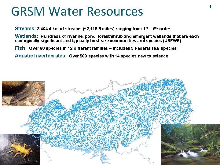 GRSM Water Resources Streams: 3, 404. 4 km of streams (~2, 115. 5 miles)