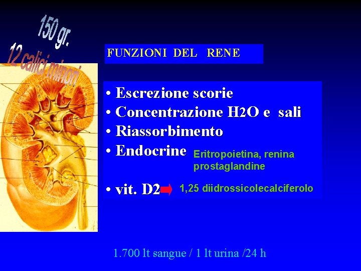 FUNZIONI DEL RENE • Escrezione scorie • Concentrazione H 2 O e sali •