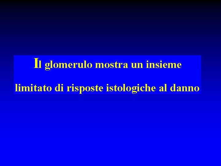 Il glomerulo mostra un insieme limitato di risposte istologiche al danno 