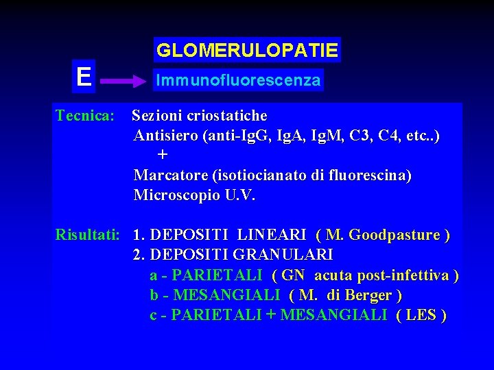 GLOMERULOPATIE E Immunofluorescenza Tecnica: Sezioni criostatiche Antisiero (anti-Ig. G, Ig. A, Ig. M, C