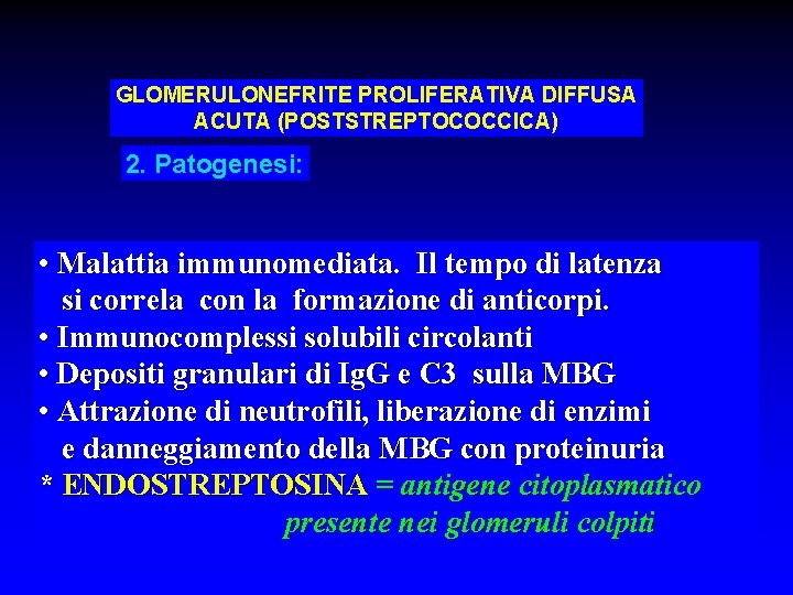 GLOMERULONEFRITEPROLIFERATIVADIFFUSA ACUTA (POSTSTREPTOCOCCICA) 2. Patogenesi: • Malattia immunomediata. Il tempo di latenza si correla