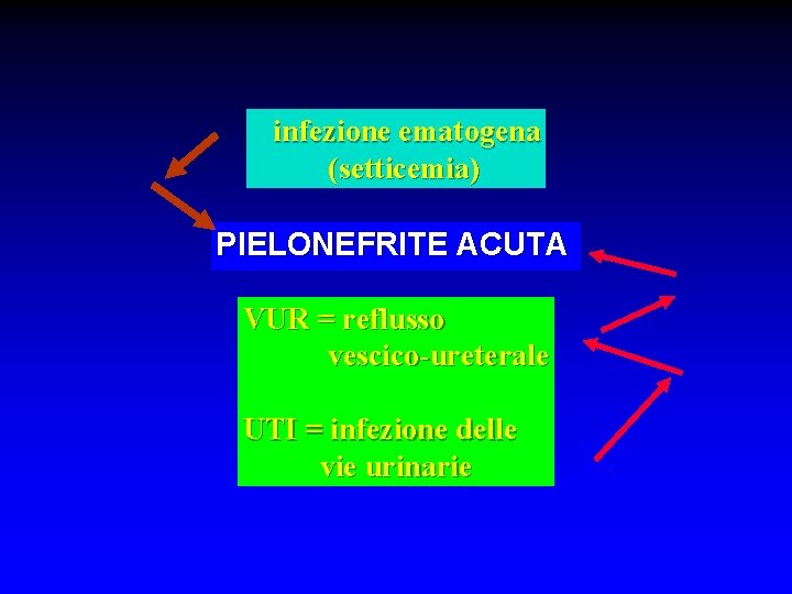 infezione ematogena (setticemia) PIELONEFRITE ACUTA VUR = reflusso vescico-ureterale UTI = infezione delle vie